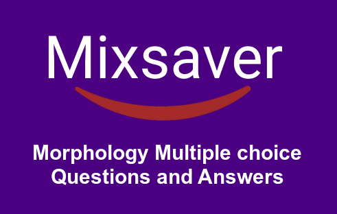 Morphology Multiple Choice Questions and Answers