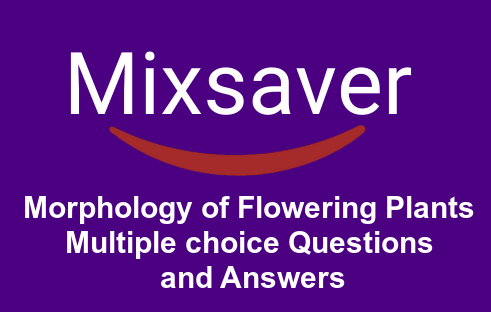 Morphology of Flowering Plants Multiple choice Questions