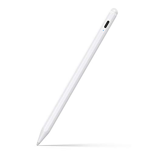 Stylus Pen for iPad.