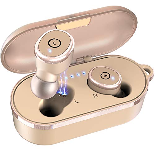 TOZO T10 Bluetooth 5.0 Wireless Earbuds with Wireless Charging Case.