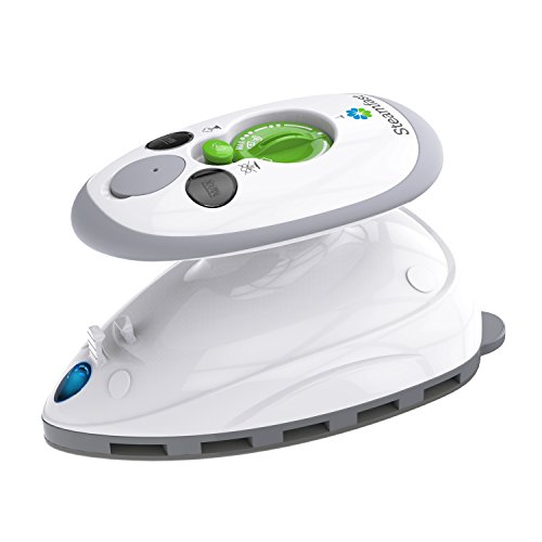 Professional Grade 1700W Steam Iron for Clothes best deal.