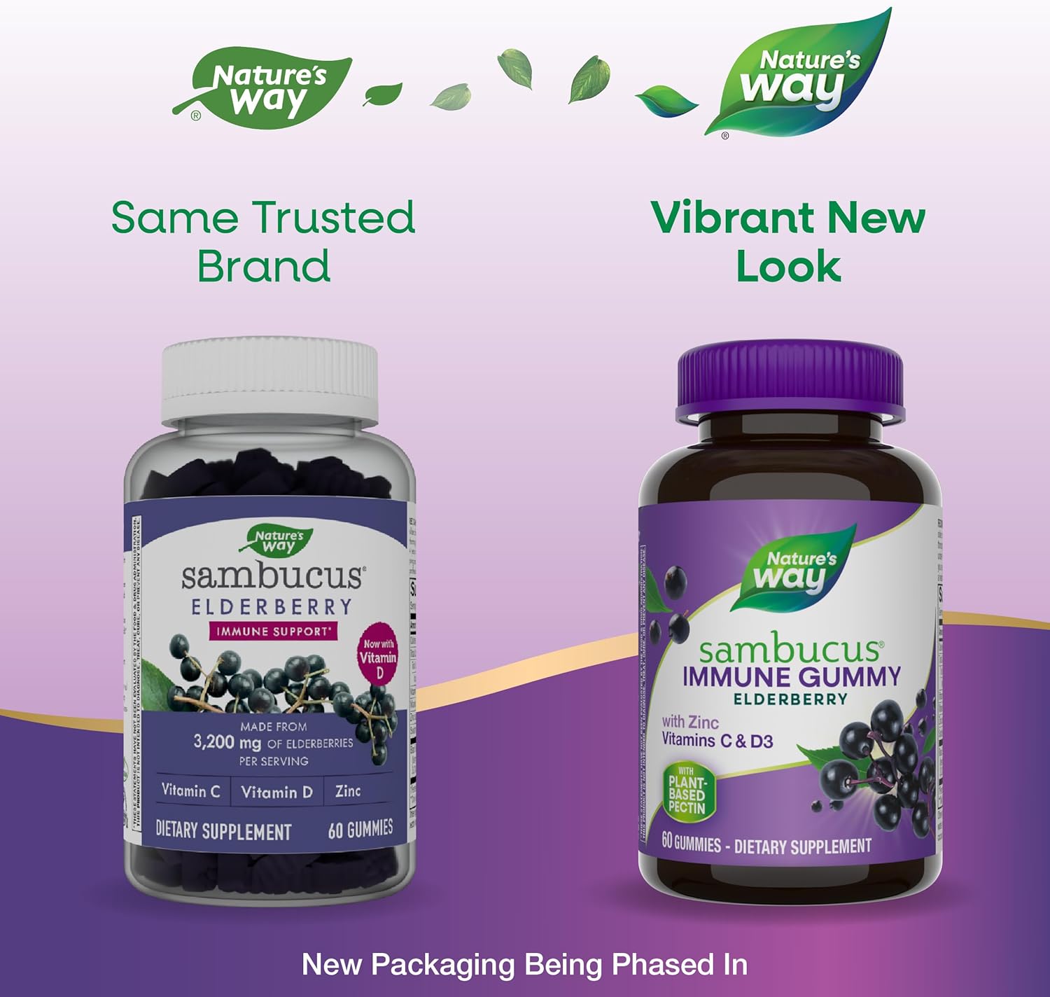 Nature's Way Sambucus Black Elderberry Gummies with Vitamin C and Zinc.